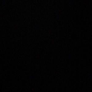 Meet your Posher, Isabella